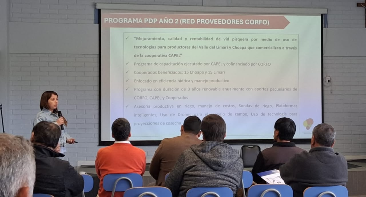 CAPEL y Corfo lanzan programa para mejorar eficiencia hídrica de 30 productores pisqueros — foto 5