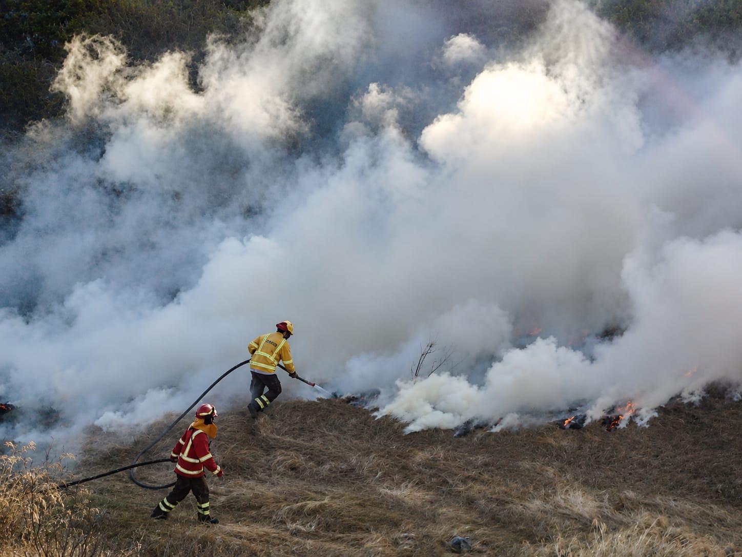 Coquimbo activa plan contra incendios forestales con ocho brigadas y helicóptero — foto 3