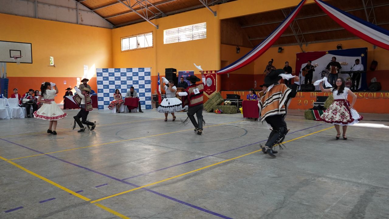 Escuela Jerónimo Godoy y Liceo Mistraliano representarán a Paihuano en regional de cueca — foto 8