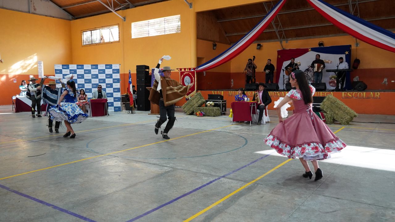Escuela Jerónimo Godoy y Liceo Mistraliano representarán a Paihuano en regional de cueca — foto 3