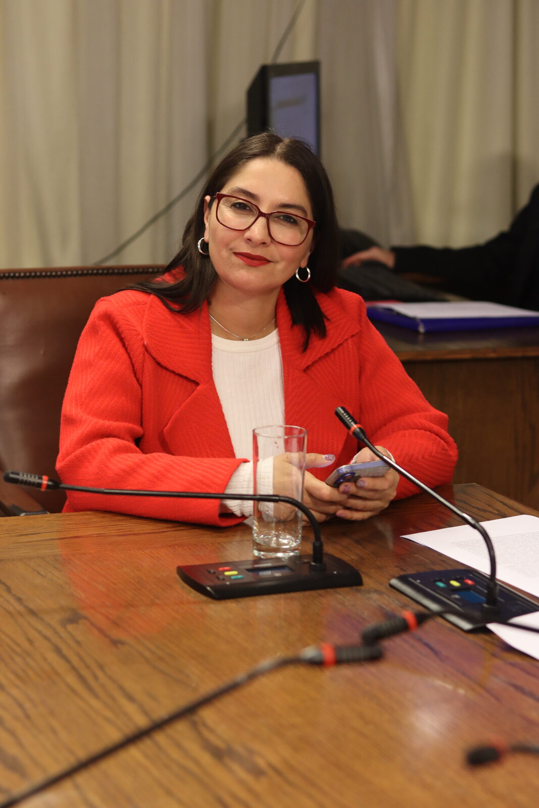Diputada Castillo exige recursos para Fiscalía Supraterritorial en Presupuesto 2027
