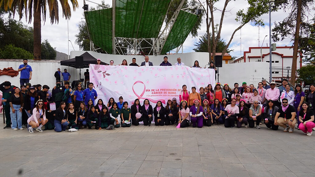 Vicuña conmemoró Día del Cáncer de Mama con caminata y jornada preventiva — foto 2