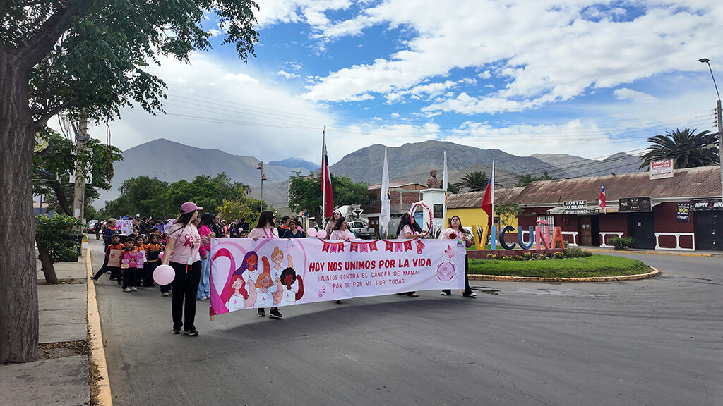 Vicuña conmemoró Día del Cáncer de Mama con caminata y jornada preventiva — foto 1