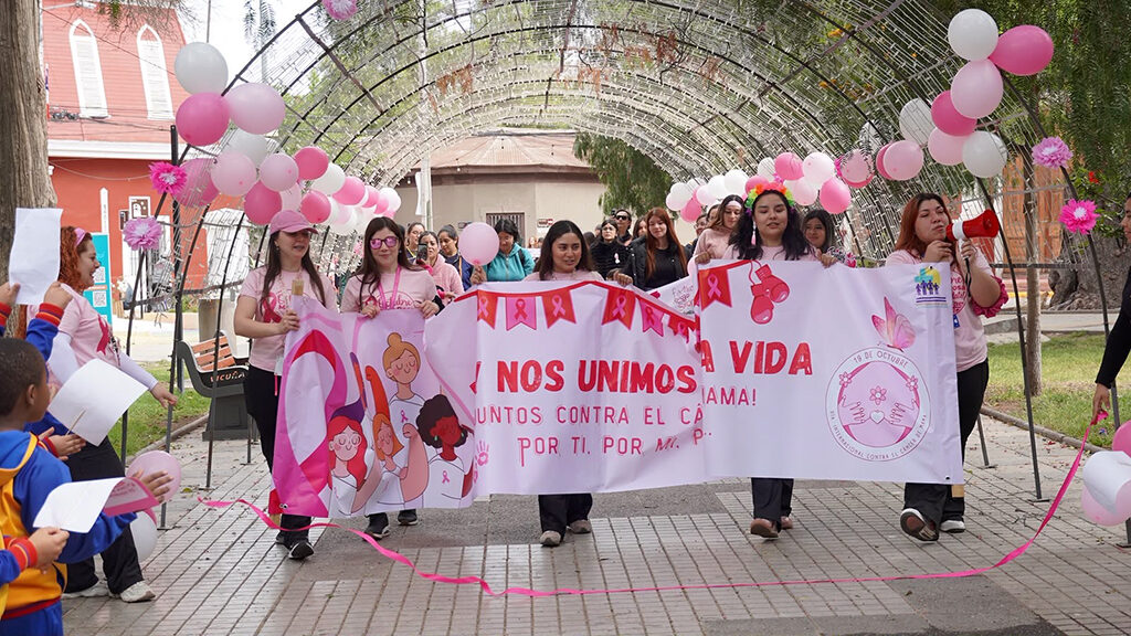 Vicuña conmemoró Día del Cáncer de Mama con caminata y jornada preventiva — foto 3