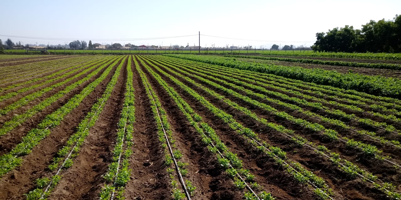 CNR reitera llamado a pequeños agricultores para postular a concurso de riego — foto 1
