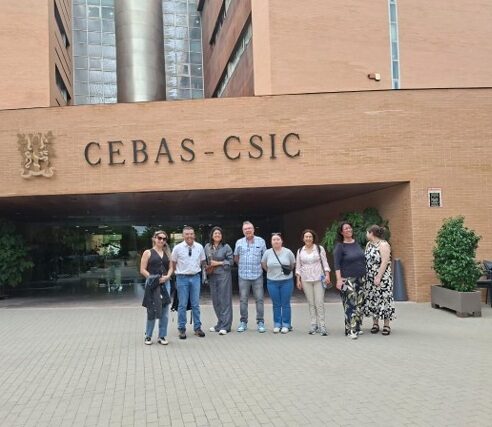 Productores de Coquimbo recorren España para adoptar tecnologías de riego y energía — foto 1