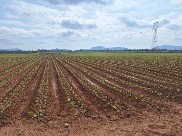 Productores de Coquimbo recorren España para adoptar tecnologías de riego y energía — foto 4
