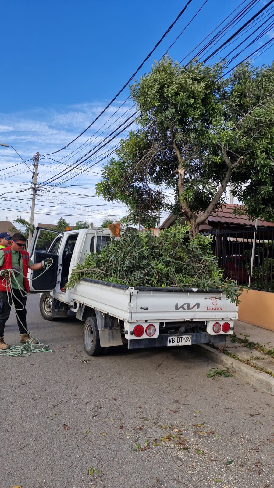 Municipio de La Serena resuelve 54 de 106 emergencias por vientos — foto 2