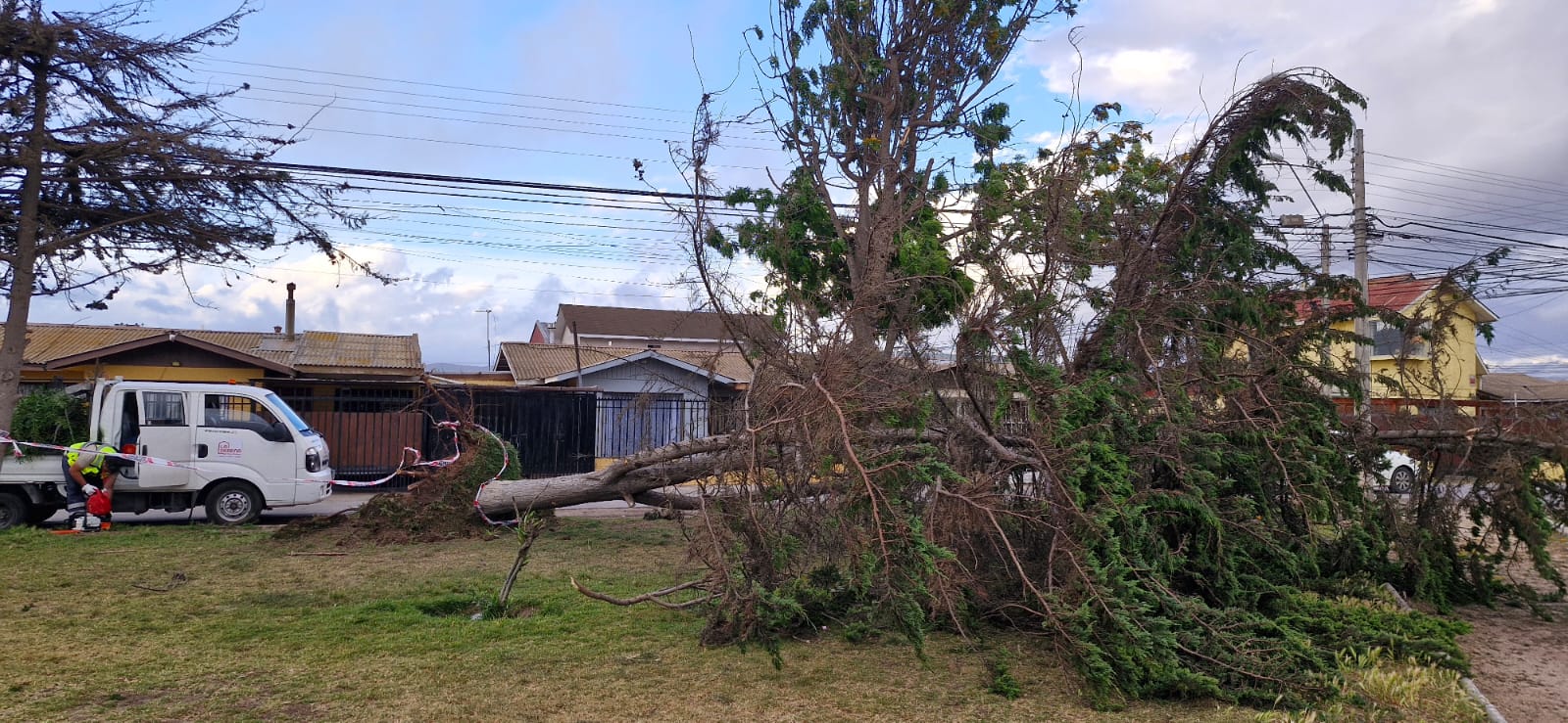 Municipio de La Serena resuelve 54 de 106 emergencias por vientos — foto 4