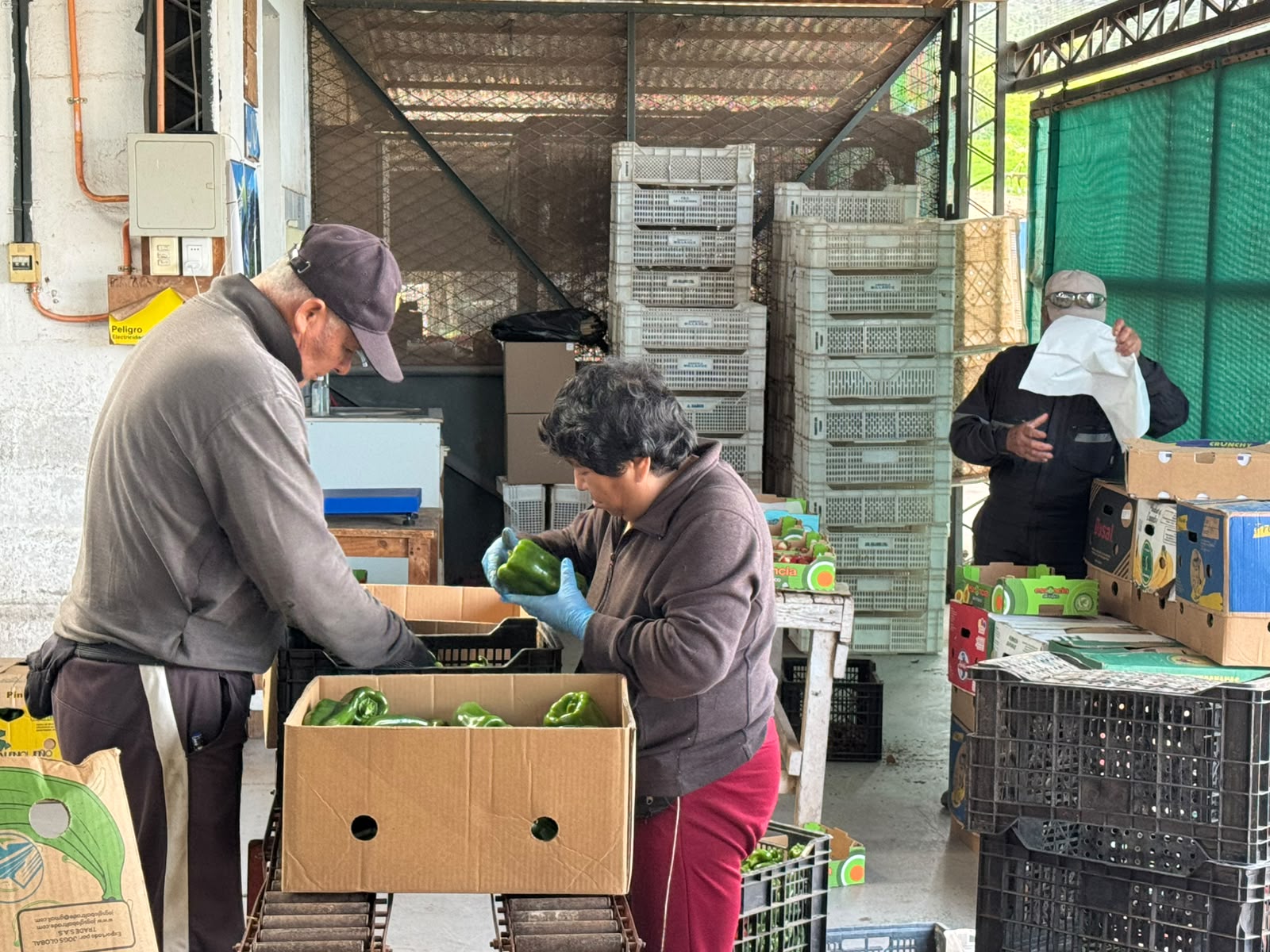 Más de 40 actividades marcarán la Semana de la Pyme en Coquimbo — foto 2