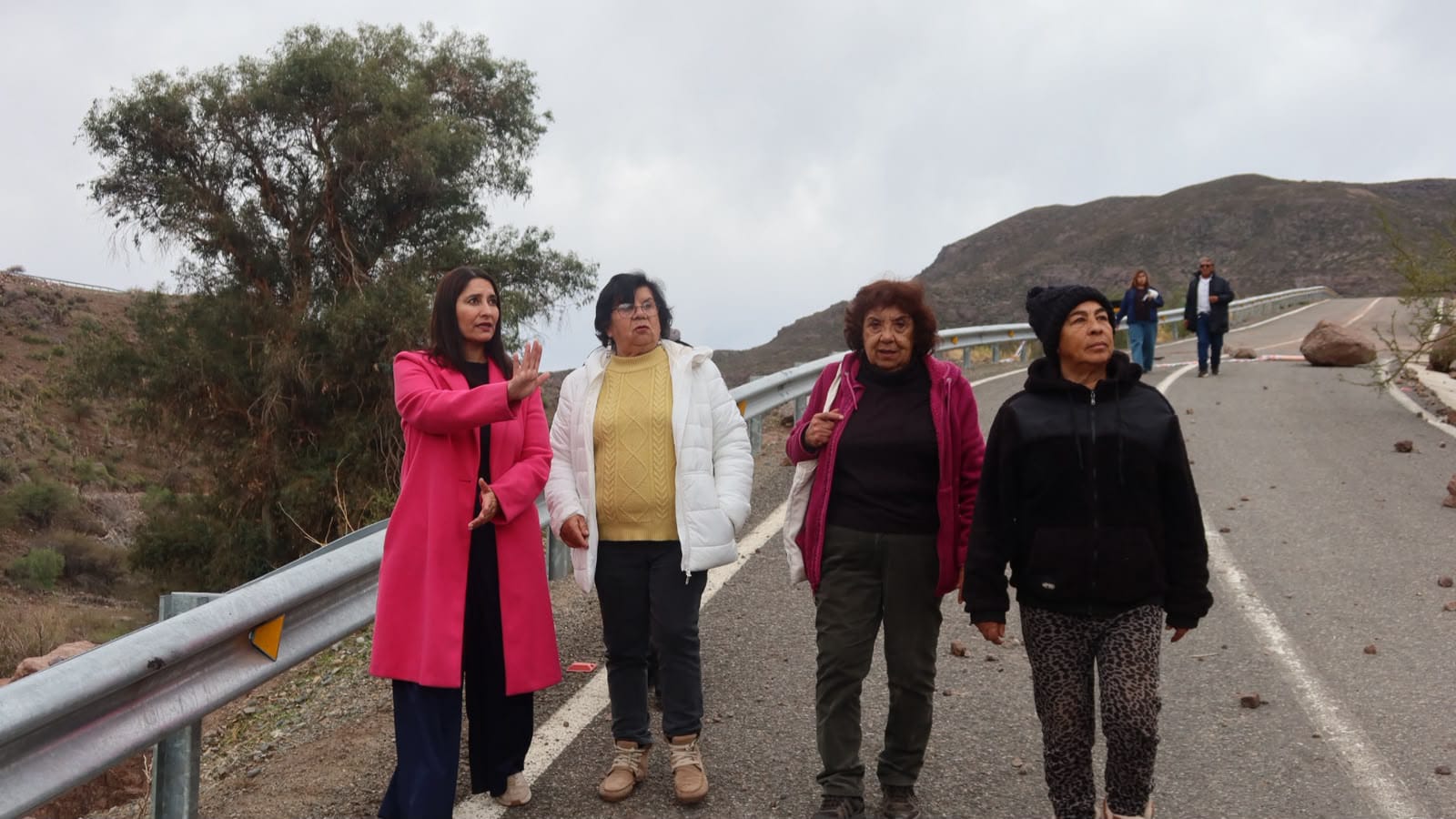 Diputada Castillo critica al MOP por desconocer aislamiento de 100 familias en Combarbalá — foto 3