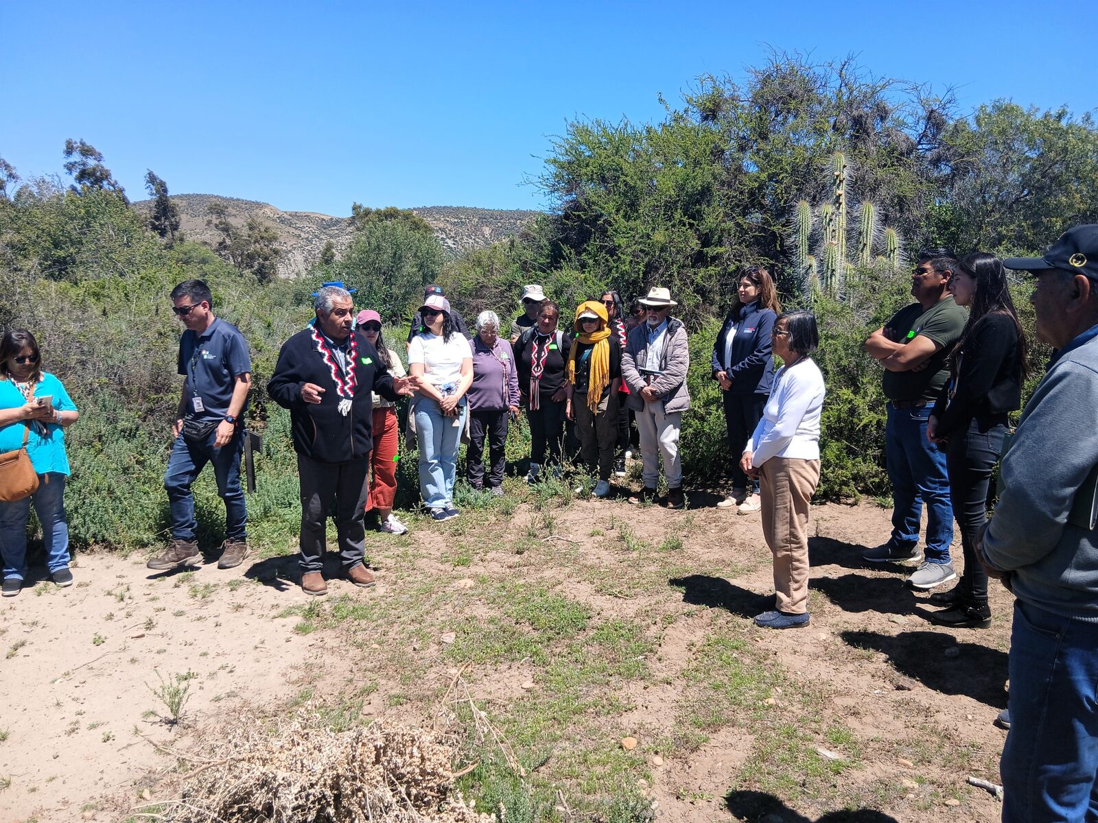 Oruro avanza en restauración de paisajes y negocios sostenibles en Fray Jorge — foto 1